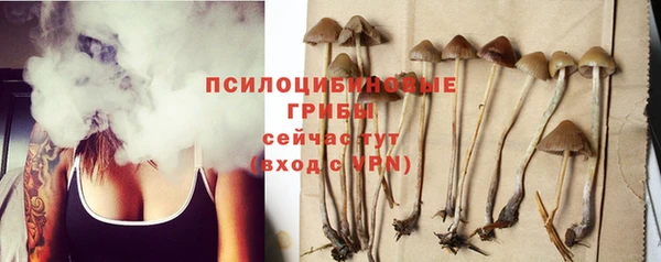 гидра Белоозёрский